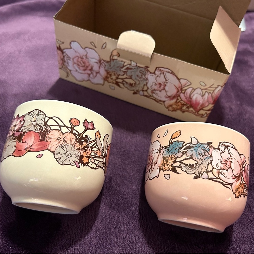 Illumicrate Tea Cups